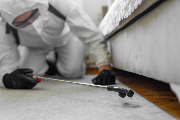 Professional Cockroach Control technician working in Pasadena Hills, FL