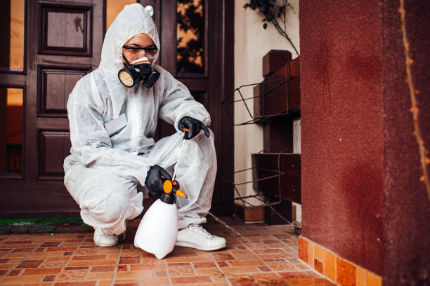 Reliable Cockroach Control contractor in Pasadena Hills, FL by Nex Pest Control