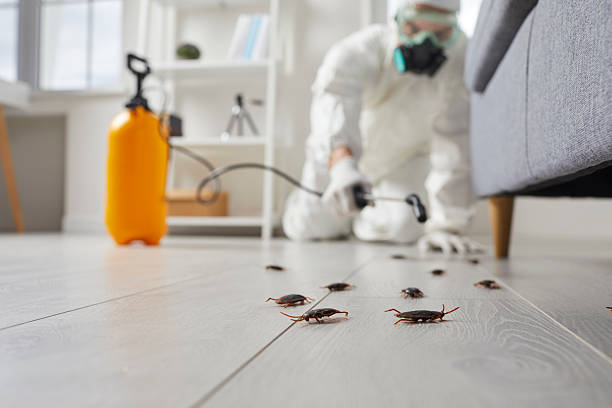 Affordable Cockroach Control solutions in Pasadena Hills, FL